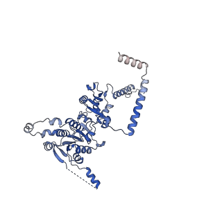 11000_6yxy_EE_v1-0
State B of the Trypanosoma brucei mitoribosomal large subunit assembly intermediate