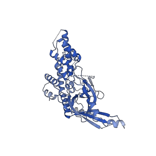 11000_6yxy_EH_v1-0
State B of the Trypanosoma brucei mitoribosomal large subunit assembly intermediate