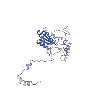 11000_6yxy_EI_v1-0
State B of the Trypanosoma brucei mitoribosomal large subunit assembly intermediate