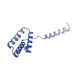 11000_6yxy_EJ_v1-0
State B of the Trypanosoma brucei mitoribosomal large subunit assembly intermediate