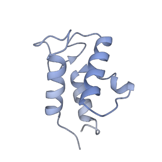 11000_6yxy_EK_v1-0
State B of the Trypanosoma brucei mitoribosomal large subunit assembly intermediate