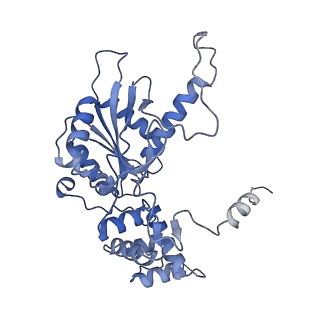 11000_6yxy_EM_v1-0
State B of the Trypanosoma brucei mitoribosomal large subunit assembly intermediate