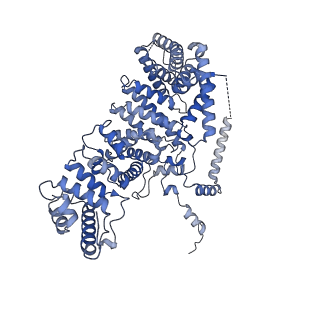 11000_6yxy_EN_v1-0
State B of the Trypanosoma brucei mitoribosomal large subunit assembly intermediate