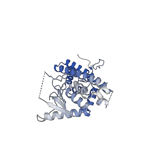 11000_6yxy_EO_v1-0
State B of the Trypanosoma brucei mitoribosomal large subunit assembly intermediate