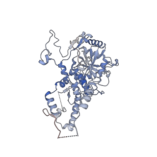 11000_6yxy_EQ_v1-0
State B of the Trypanosoma brucei mitoribosomal large subunit assembly intermediate