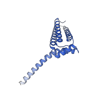 11000_6yxy_ES_v1-0
State B of the Trypanosoma brucei mitoribosomal large subunit assembly intermediate