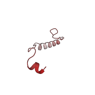 11000_6yxy_EU_v1-0
State B of the Trypanosoma brucei mitoribosomal large subunit assembly intermediate