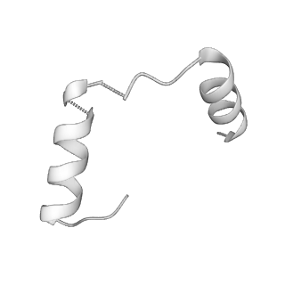11000_6yxy_UE_v1-0
State B of the Trypanosoma brucei mitoribosomal large subunit assembly intermediate
