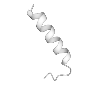 11000_6yxy_UI_v1-0
State B of the Trypanosoma brucei mitoribosomal large subunit assembly intermediate