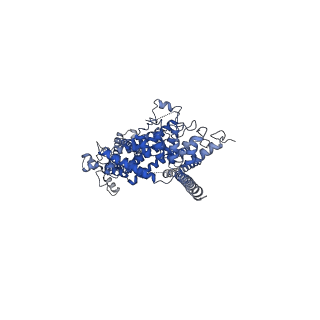 6856_5yx9_A_v1-1
Cryo-EM structure of human TRPC6 at 3.8A resolution