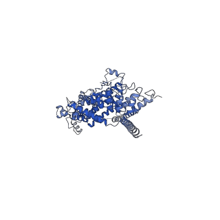 6856_5yx9_A_v1-2
Cryo-EM structure of human TRPC6 at 3.8A resolution