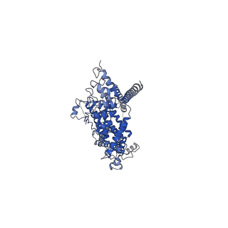 6856_5yx9_B_v1-1
Cryo-EM structure of human TRPC6 at 3.8A resolution