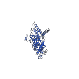 6856_5yx9_B_v1-2
Cryo-EM structure of human TRPC6 at 3.8A resolution