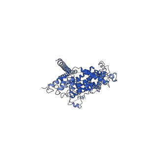6856_5yx9_C_v1-1
Cryo-EM structure of human TRPC6 at 3.8A resolution