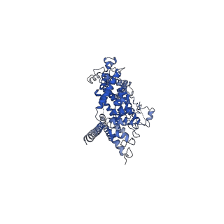6856_5yx9_D_v1-1
Cryo-EM structure of human TRPC6 at 3.8A resolution