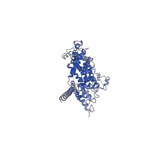 6856_5yx9_D_v1-2
Cryo-EM structure of human TRPC6 at 3.8A resolution