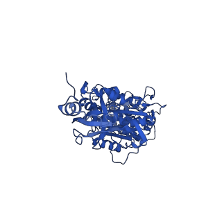 11001_6yy0_A_v1-2
bovine ATP synthase F1-peripheral stalk domain, state 1