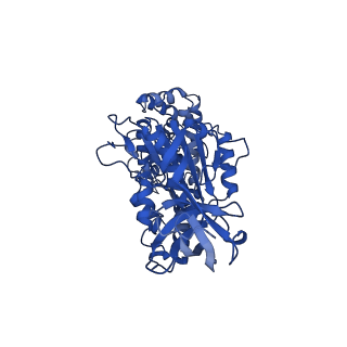 11001_6yy0_B_v1-2
bovine ATP synthase F1-peripheral stalk domain, state 1