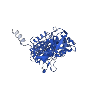 11001_6yy0_C_v1-2
bovine ATP synthase F1-peripheral stalk domain, state 1