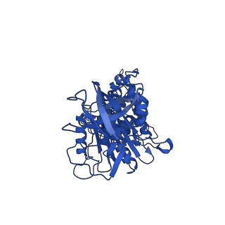 11001_6yy0_D_v1-2
bovine ATP synthase F1-peripheral stalk domain, state 1