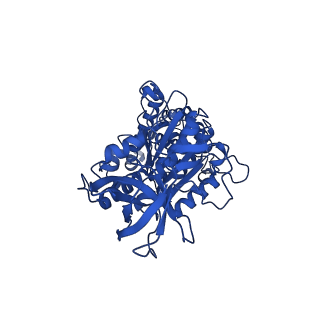 11001_6yy0_E_v1-2
bovine ATP synthase F1-peripheral stalk domain, state 1