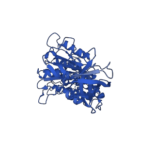 11001_6yy0_F_v1-2
bovine ATP synthase F1-peripheral stalk domain, state 1