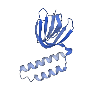 11001_6yy0_H_v1-2
bovine ATP synthase F1-peripheral stalk domain, state 1