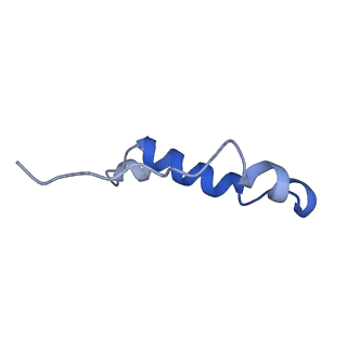 11001_6yy0_I_v1-2
bovine ATP synthase F1-peripheral stalk domain, state 1