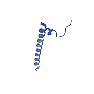 11001_6yy0_J_v1-2
bovine ATP synthase F1-peripheral stalk domain, state 1