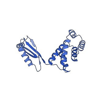 11001_6yy0_S_v1-2
bovine ATP synthase F1-peripheral stalk domain, state 1