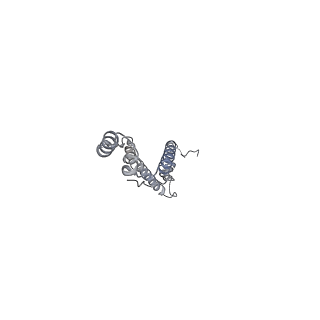 11001_6yy0_d_v1-2
bovine ATP synthase F1-peripheral stalk domain, state 1