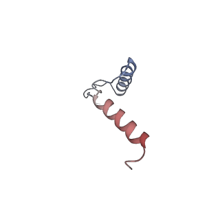 11001_6yy0_h_v1-2
bovine ATP synthase F1-peripheral stalk domain, state 1