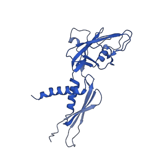 11004_6yys_A_v1-2
Structure of Mycobacterium smegmatis HelD protein in complex with RNA polymerase core - State II, primary channel engaged and active site interfering