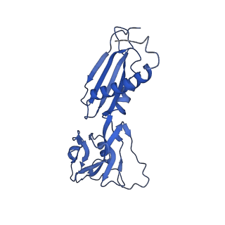 11004_6yys_B_v1-2
Structure of Mycobacterium smegmatis HelD protein in complex with RNA polymerase core - State II, primary channel engaged and active site interfering
