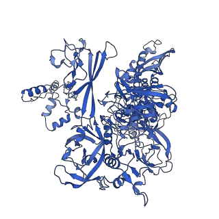 11004_6yys_C_v1-2
Structure of Mycobacterium smegmatis HelD protein in complex with RNA polymerase core - State II, primary channel engaged and active site interfering