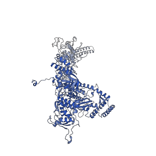 11004_6yys_D_v1-2
Structure of Mycobacterium smegmatis HelD protein in complex with RNA polymerase core - State II, primary channel engaged and active site interfering