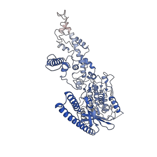 11004_6yys_H_v1-2
Structure of Mycobacterium smegmatis HelD protein in complex with RNA polymerase core - State II, primary channel engaged and active site interfering