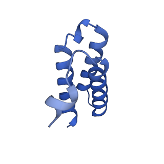 11007_6yyt_C_v1-2
Structure of replicating SARS-CoV-2 polymerase