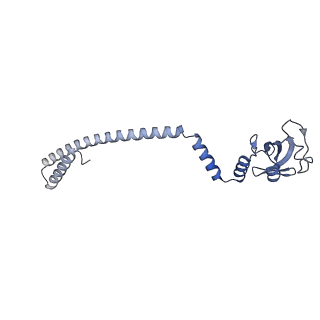 11007_6yyt_D_v1-2
Structure of replicating SARS-CoV-2 polymerase
