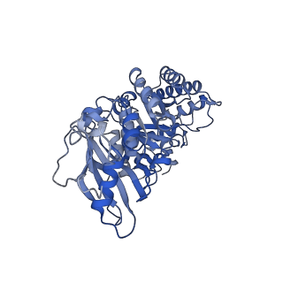 14385_7yyo_A_v1-2
Cryo-EM structure of an a-carboxysome RuBisCO enzyme at 2.9 A resolution