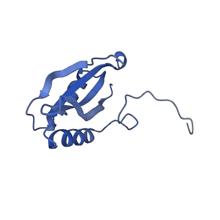 14385_7yyo_B_v1-2
Cryo-EM structure of an a-carboxysome RuBisCO enzyme at 2.9 A resolution