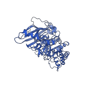 14385_7yyo_C_v1-2
Cryo-EM structure of an a-carboxysome RuBisCO enzyme at 2.9 A resolution