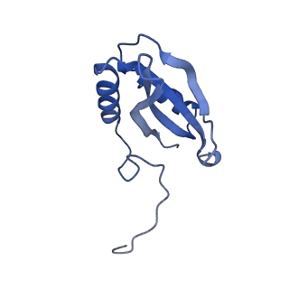 14385_7yyo_D_v1-2
Cryo-EM structure of an a-carboxysome RuBisCO enzyme at 2.9 A resolution