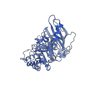 14385_7yyo_E_v1-2
Cryo-EM structure of an a-carboxysome RuBisCO enzyme at 2.9 A resolution