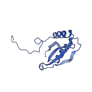 14385_7yyo_F_v1-2
Cryo-EM structure of an a-carboxysome RuBisCO enzyme at 2.9 A resolution