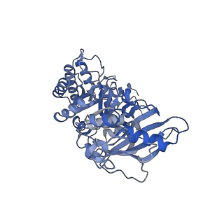 14385_7yyo_G_v1-2
Cryo-EM structure of an a-carboxysome RuBisCO enzyme at 2.9 A resolution