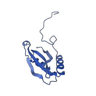 14385_7yyo_H_v1-2
Cryo-EM structure of an a-carboxysome RuBisCO enzyme at 2.9 A resolution