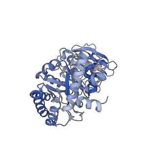 14385_7yyo_I_v1-2
Cryo-EM structure of an a-carboxysome RuBisCO enzyme at 2.9 A resolution