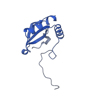 14385_7yyo_J_v1-2
Cryo-EM structure of an a-carboxysome RuBisCO enzyme at 2.9 A resolution