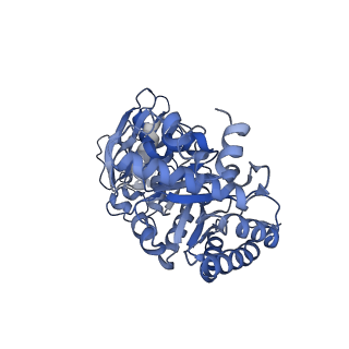 14385_7yyo_K_v1-2
Cryo-EM structure of an a-carboxysome RuBisCO enzyme at 2.9 A resolution